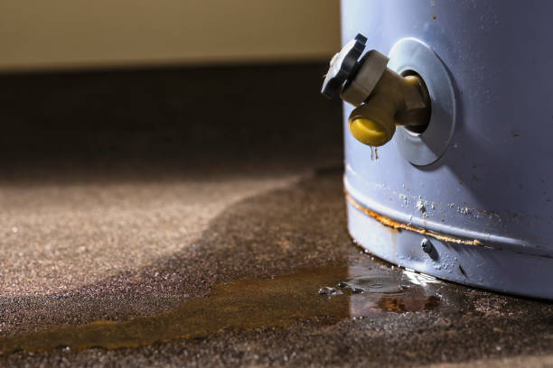 Reliable Lake Holm, WA Water damage restoration Solutions