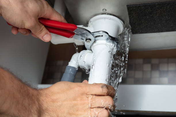 Best Mold removal after water damage  in Lake Holm, WA