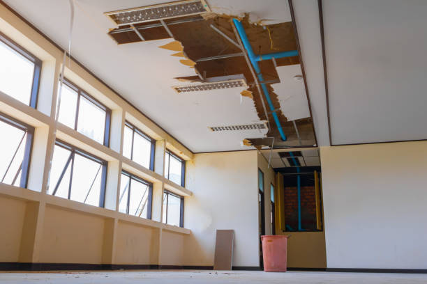 Best Water damage restoration near me  in Lake Holm, WA