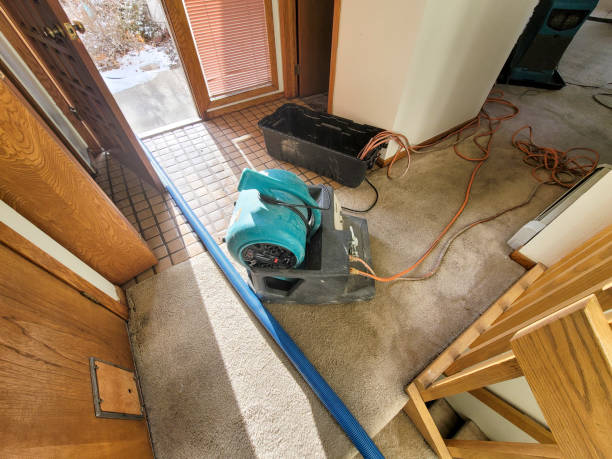 Best Flood restoration services  in Lake Holm, WA