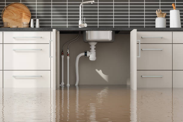 Best Mold removal after water damage  in Lake Holm, WA