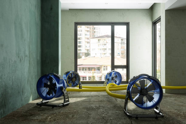 Best Ceiling water damage repair  in Lake Holm, WA