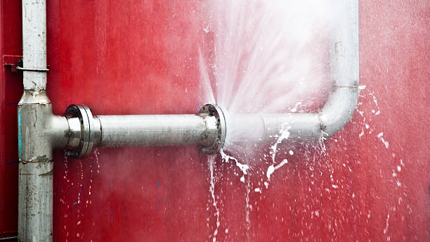 Best Sewage cleanup and water damage restoration  in Lake Holm, WA
