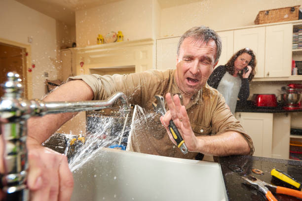 Best Water damage contractors near me  in Lake Holm, WA